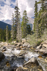 Tangle Creek waterfall in Alberta in Canada 