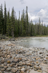 Athabasca Falls in Alberta in Canada 