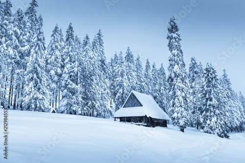 Winter landscape in blue toning © PixieMe