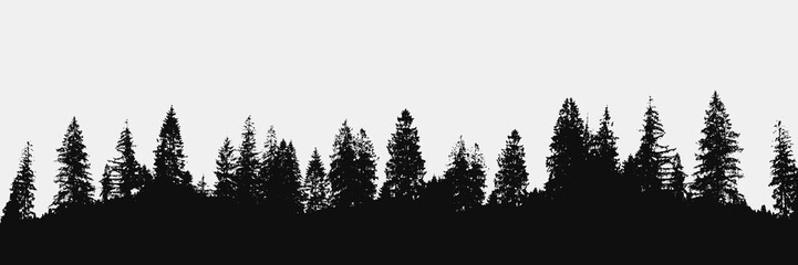 forest silhouette on white background.View to panorama of realistic trees.Vector nature design