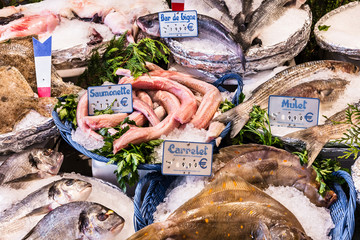 Fresh seafood on ice: different kinds of fish on the counter. Paris, France