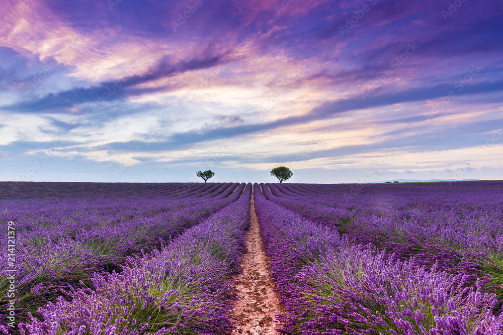 1000_F_214121379_PpR0jiDmOS3JmlsQVD2rbXzEHlK6as5q.jpg