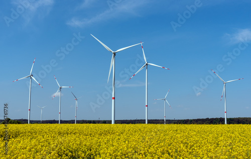 Zdjęcie XXL Elektrownie wiatrowe w polu kwitnący rzepak oleisty widziany w Niemczech wiejskich