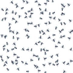 a white background with lots of flies on it