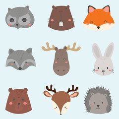 set of cute woodland animals face.