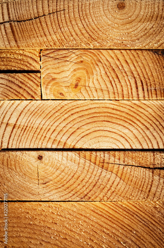 Foto obraz na płótnie canvas czteroczęściowy - "tetraptyk" - on cut of wooden beam