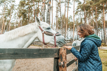 Beautiful young woman stroking the nose of a gray horse, love and care for animals