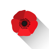 Red Poppy Flower