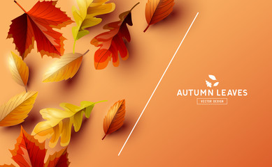 Vector Background With Autumn Falling Leaves