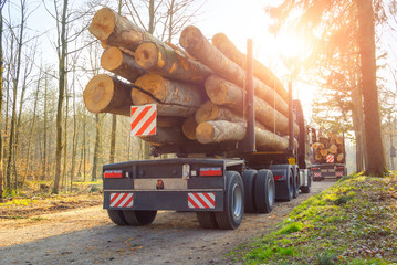 Forstarbeiten: Abtransport von Baumstämmen