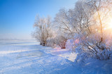 winter Landscape with Frozen lake and snowy trees