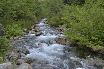 Górski potok - Mountain stream