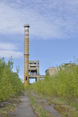 Ruiny fabryki przemysłowej / Ruins of an industrial factory