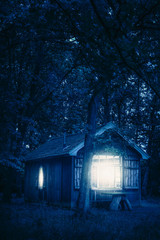 Cabin in forest at night.