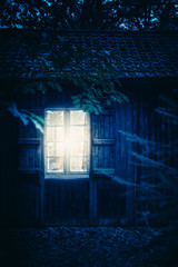Cabin in forest at night.