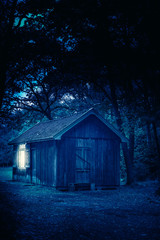 Cabin in forest at night.