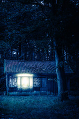 Cabin in forest at night.