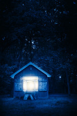 Cabin in forest at night.