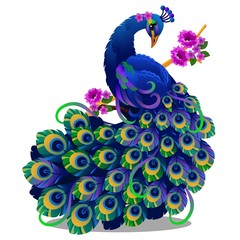 Beautiful bird peacock sitting on a perch with flowers isolated on white background. Vector cartoon close-up illustration.