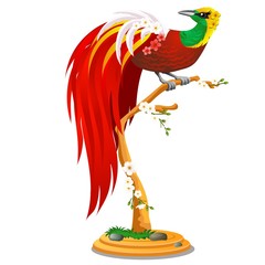 Beautiful bird of paradise sitting on a wooden perch with flowers isolated on white background. Vector cartoon close-up illustration.