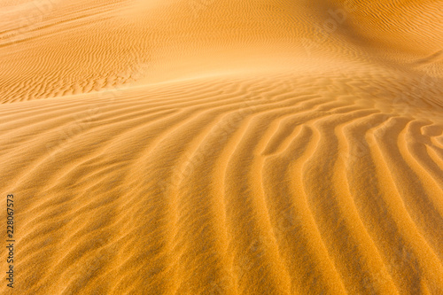 detail of sand dunes in the desert © Ioan Panaite