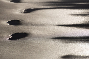 the play of light on wet sand in the evening light