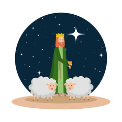 wise man with sheeps on night