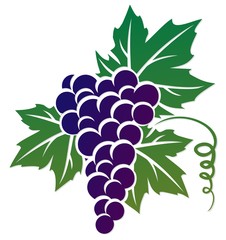 Symbol of grapes. 
