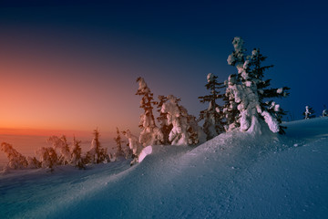 Sunrise on Babia mountain. Winter landscape