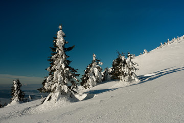 Winter season on the Babia mountain