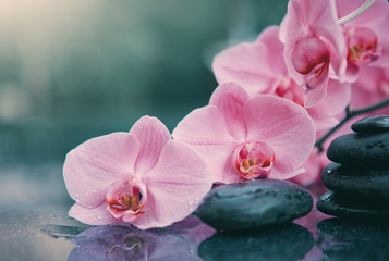 Pink orchids flowers and spa stones . Spa background.