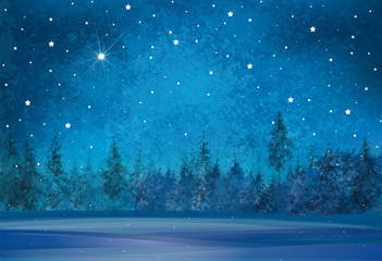 Vector winter wonderland background. Starry night sky and forest background.