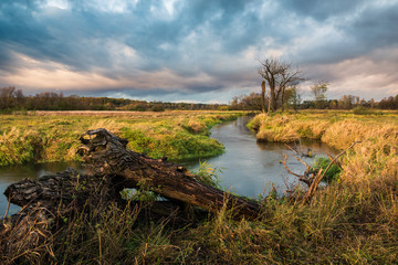 Landscape with Jeziorka river at clody day near Piaseczno, Masovia, Poland