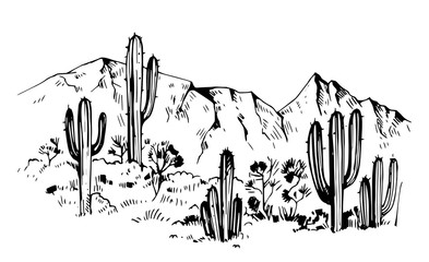 Sketch of the desert of America