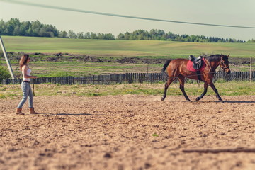 girl trains horse