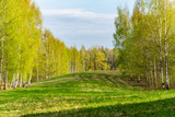 plain simple countryside spring landscape with fresh green meadows and forests