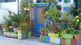 casa circondata da piante fiorite