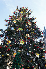 Christmas tree on Old Town Square in Prague