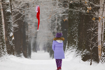 Santa Claus hat hanging on a branch in winter