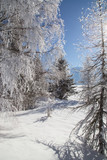 Grand Bornand