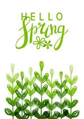 Spring background with green herbal silhouettes