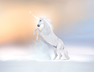 White horse unikorn reared on a snow