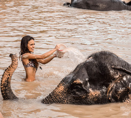 Girl washing an elephant.