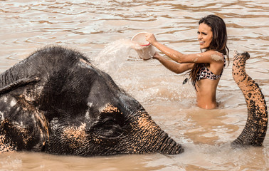 Girl washing an elephant.