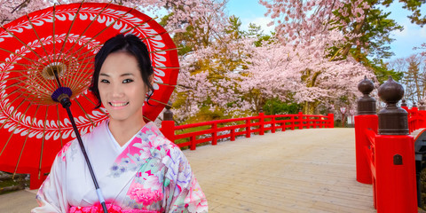 Japanese woman in Kimono dress with full bloom  Sakura - Cherry Blossom at Hirosaki castle in Hirosaki park, Japan