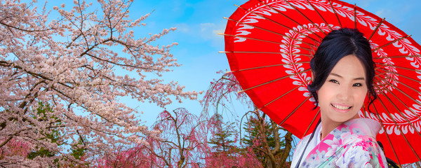 Japanese woman in Kimono dress with full bloom  Sakura - Cherry Blossom at Hirosaki castle in Hirosaki park, Japan