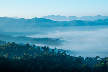 Foggy and mountain range, rain forest scenic.