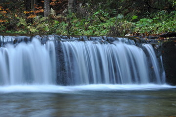 Source Vistula. Crystalline stream, clean water and waterfall