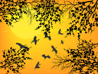 black blossoming branches and flying cranes at yellow sunset