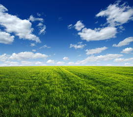 green field and clouds